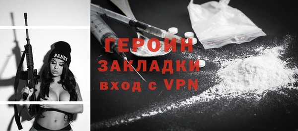 индика Ельня