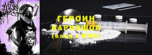 индика Ельня