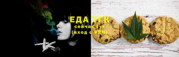 индика Ельня
