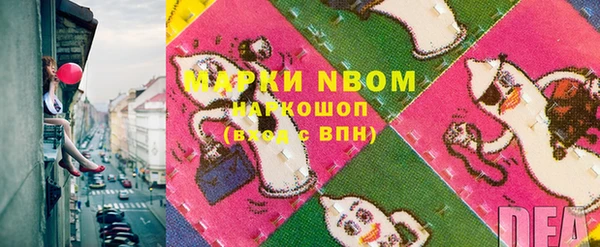 индика Ельня