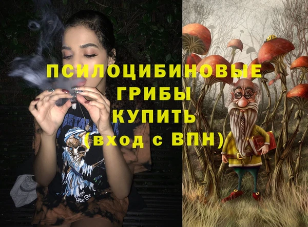 МДПВ Елабуга