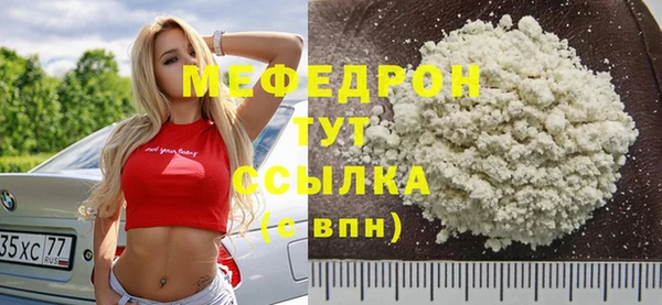 индика Ельня