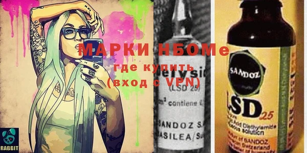 индика Ельня