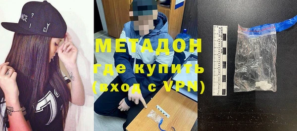индика Ельня