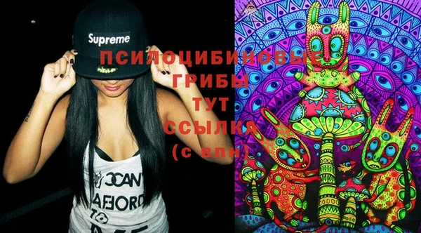 МДПВ Елабуга