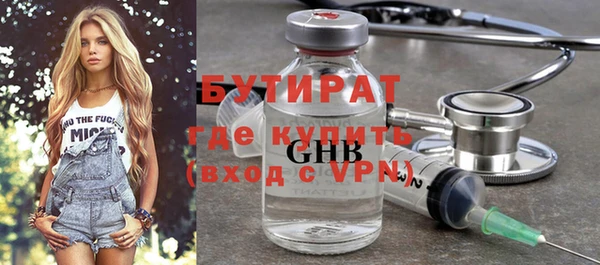 индика Ельня
