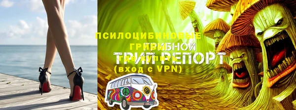 МДПВ Елабуга