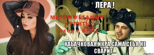 индика Ельня